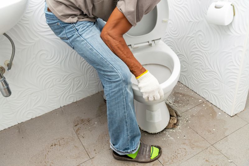 Toilet Clearing detail