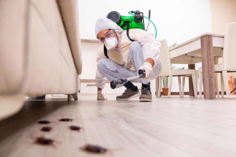 Carpenter Ant Extermination