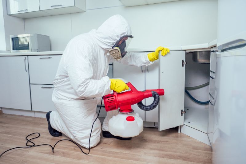 Mice Extermination Service